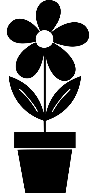 soutěž